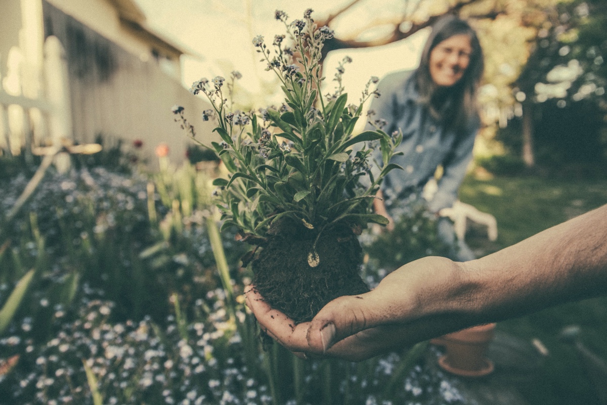 20 Money Saving Tips for Gardening