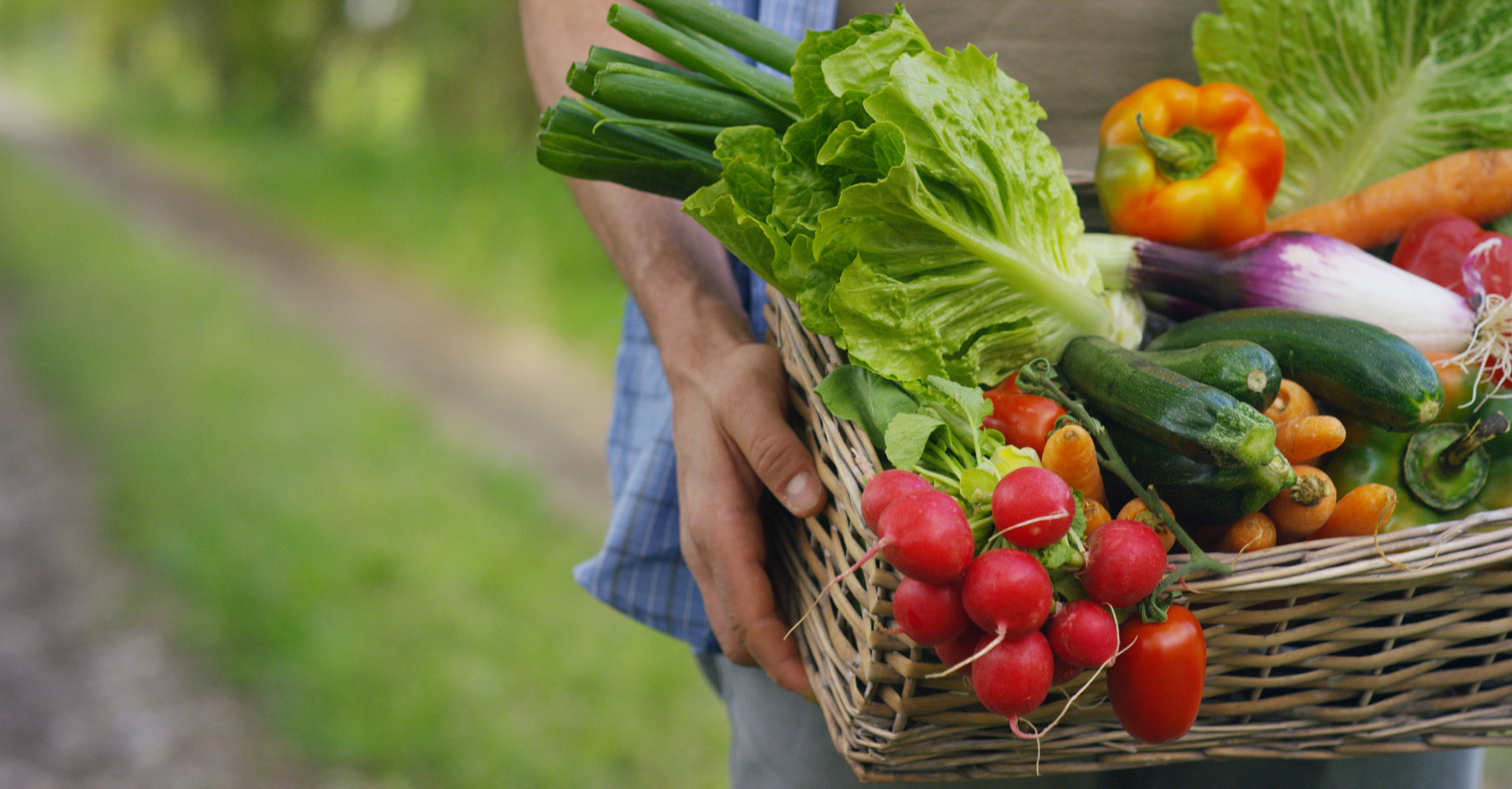 How to Save Money on Food by Growing Your Own